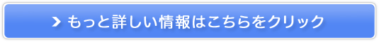 `F[uI ktgZ̔TCg